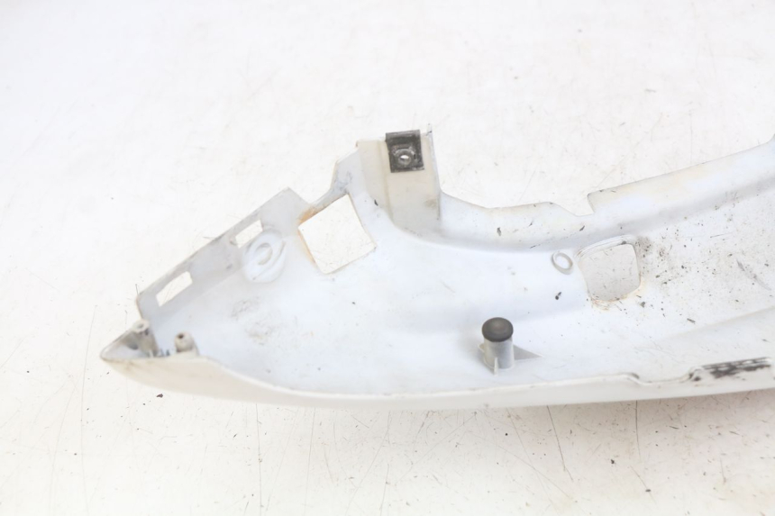 photo de HECKVERKLEIDUNG YAMAHA YZF R THUNDERCAT 600 (1996 - 2003)