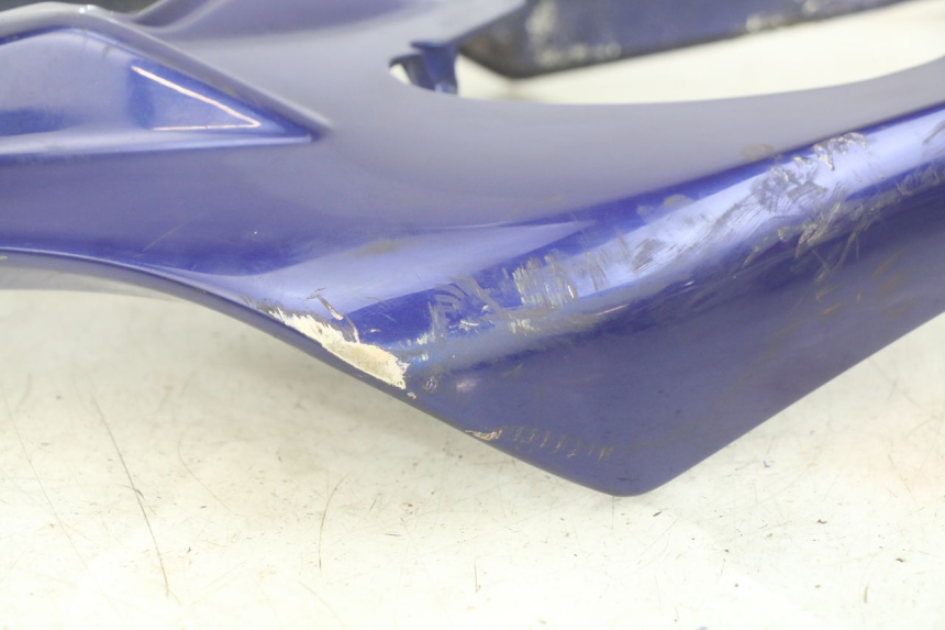 photo de HECKVERKLEIDUNG YAMAHA YZF R1 1000 (2007 - 2008)