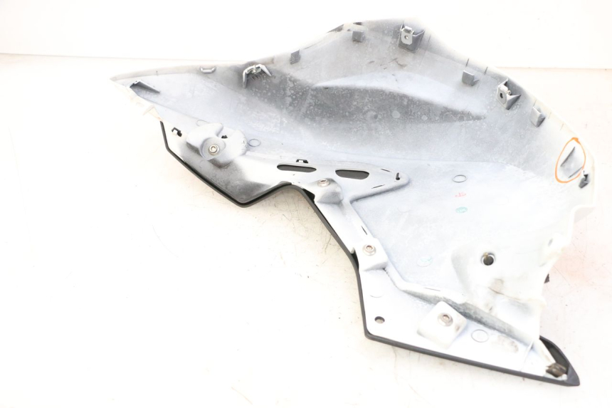 photo de TANK VERKLEIDUNG RECHTE BMW G310 R 310 (2016 - 2020)