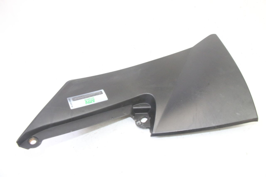 photo de TANK VERKLEIDUNG LINKS MAG POWER R-STREET 50 (2016 - 2025)
