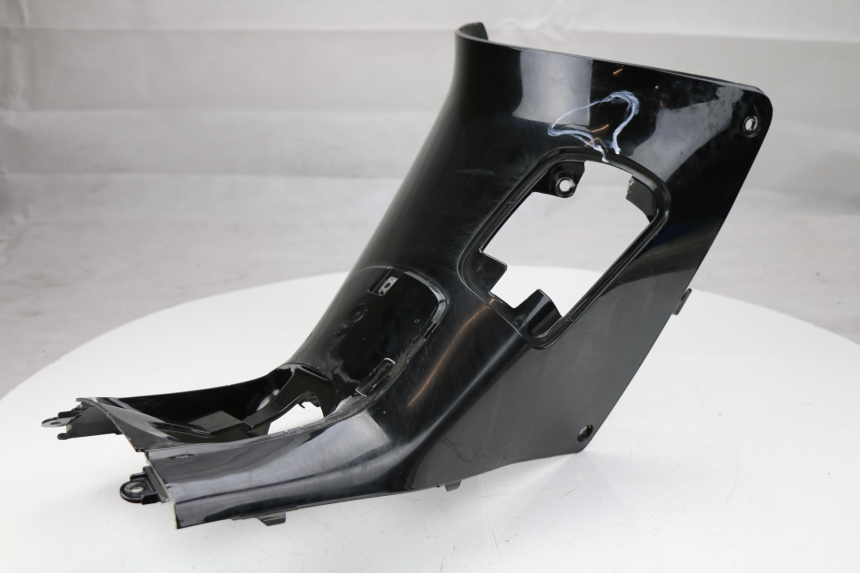 photo de TANK VERKLEIDUNG HONDA FES PANTHEON 125 (2003 - 2007)