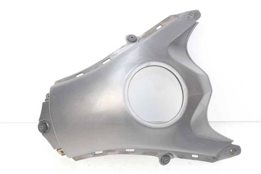 photo de TANKVERKLEIDUNG SUZUKI XF FREEWIND 650 (1997 - 2003)