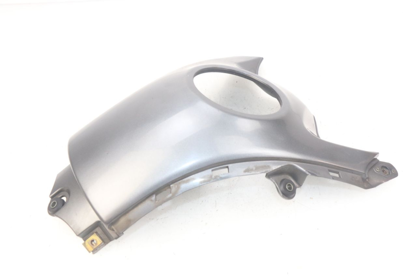 photo de TANKVERKLEIDUNG SUZUKI XF FREEWIND 650 (1997 - 2003)