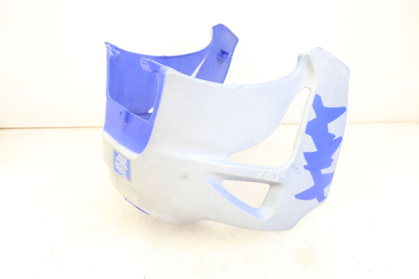 photo de TANKVERKLEIDUNG HYOSUNG XRX 125 (2000 - 2008)