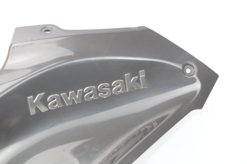 photo de TANK VERKLEIDUNG KAWASAKI Z Z900 900 (2017 - 2019)