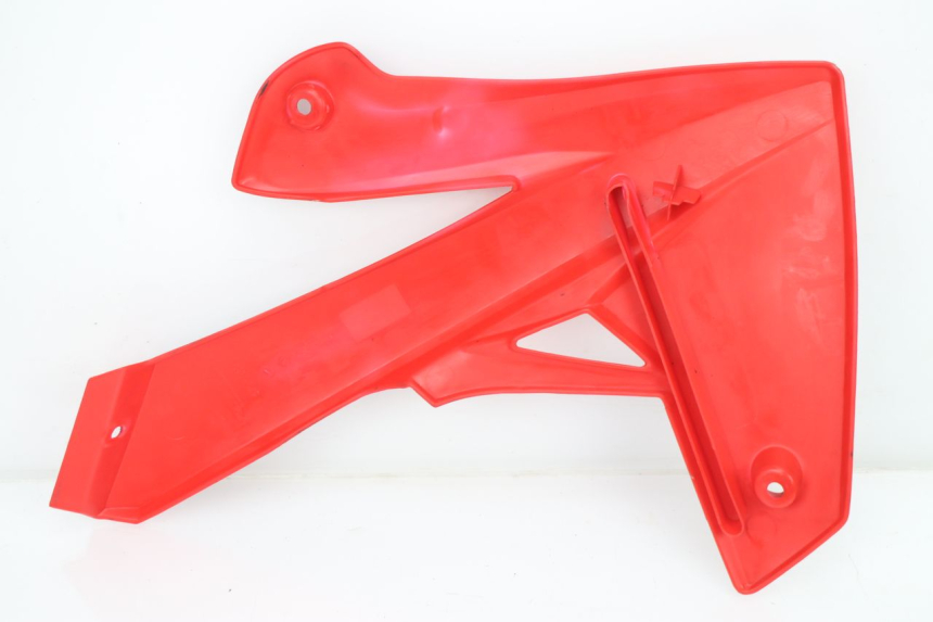 photo de KOMPLETTE VERKLEIDUNG RIEJU MRT 50 (2018 - 2021)