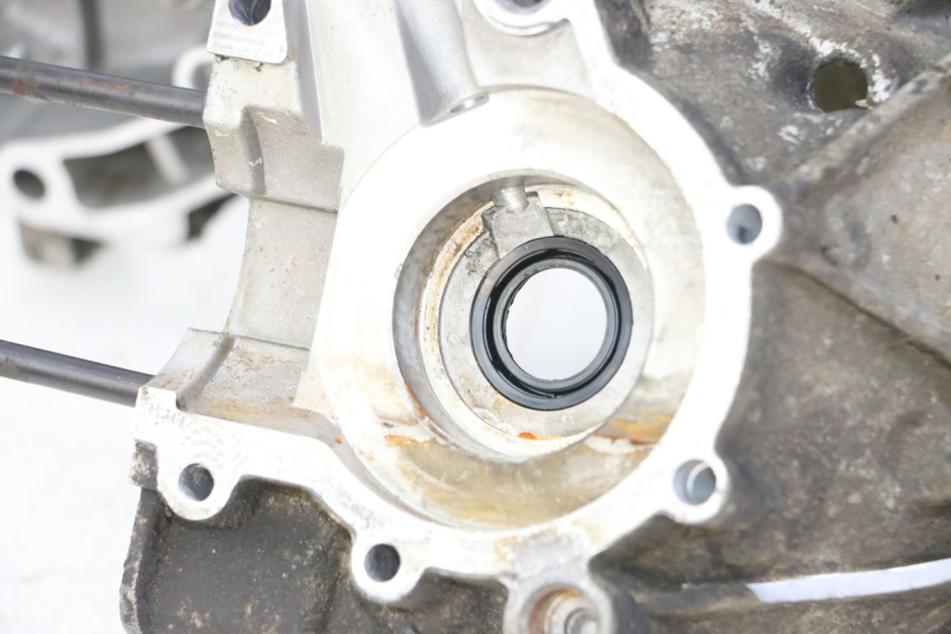 photo de MOTORBLOCK-UNTERTEIL KEEWAY F-ACT FACT 50 (2006 - 2011)