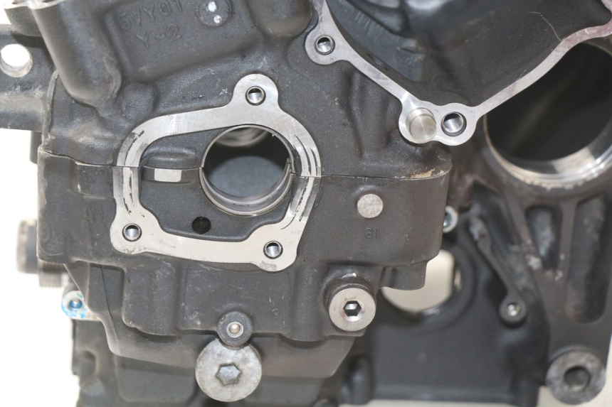 photo de KURBELGEHÄUSE YAMAHA FZ8 800 (2010 - 2016)