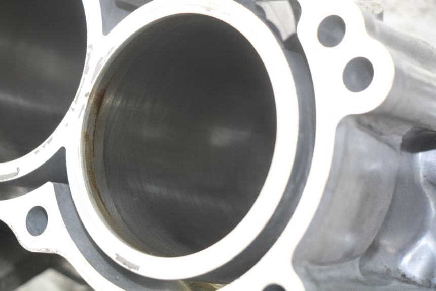 photo de KURBELGEHÄUSE HONDA INTEGRA NC D 750 (2016 - 2018)