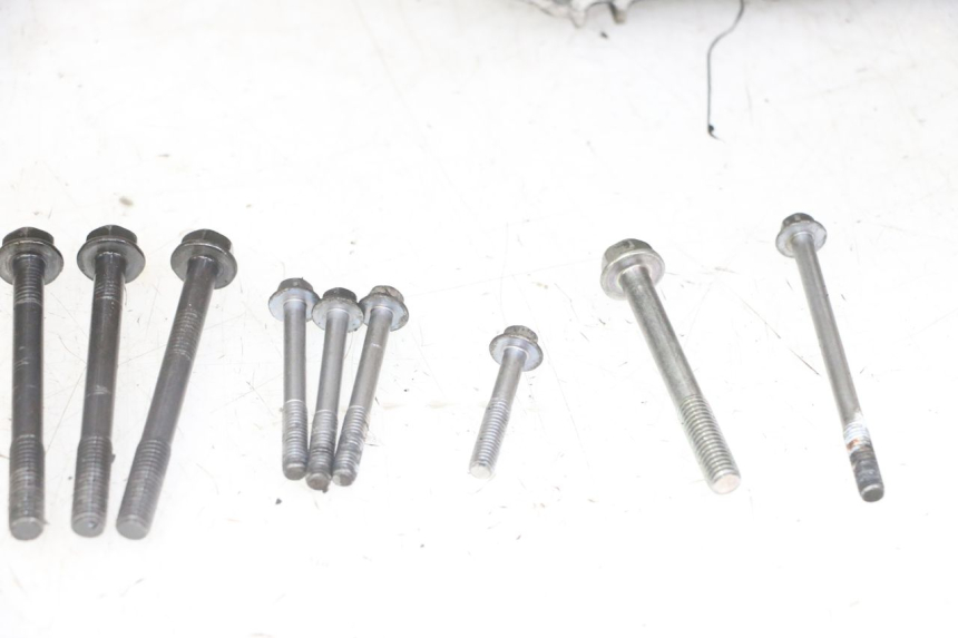 photo de KURBELGEHÄUSE HONDA NTV DEAUVILLE ABS 700 (2007 - 2016)