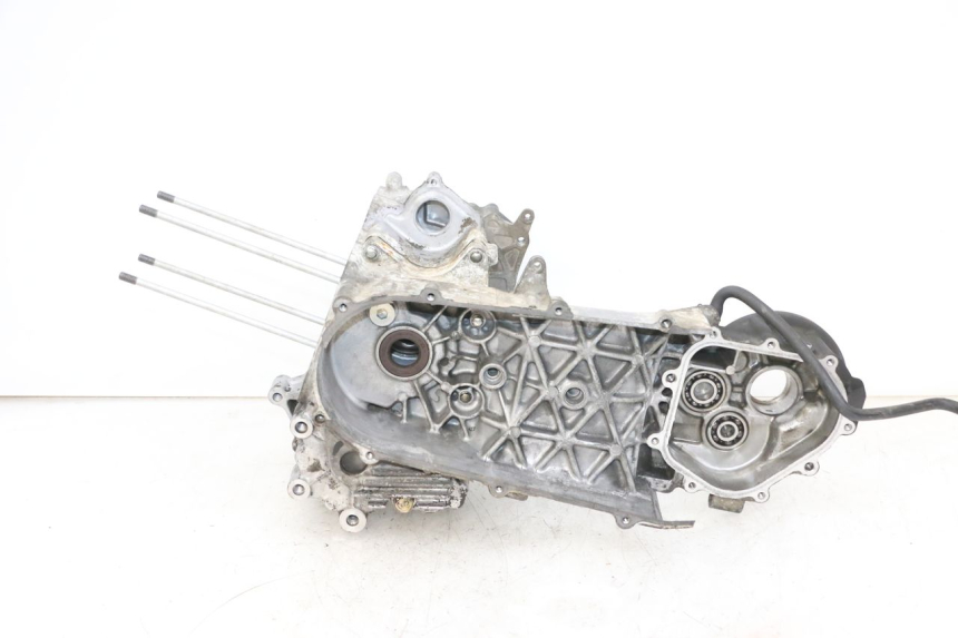 photo de MOTORBLOCKGEHäUSE DAELIM S1 125 (2007 - 2016) - Hauptansicht