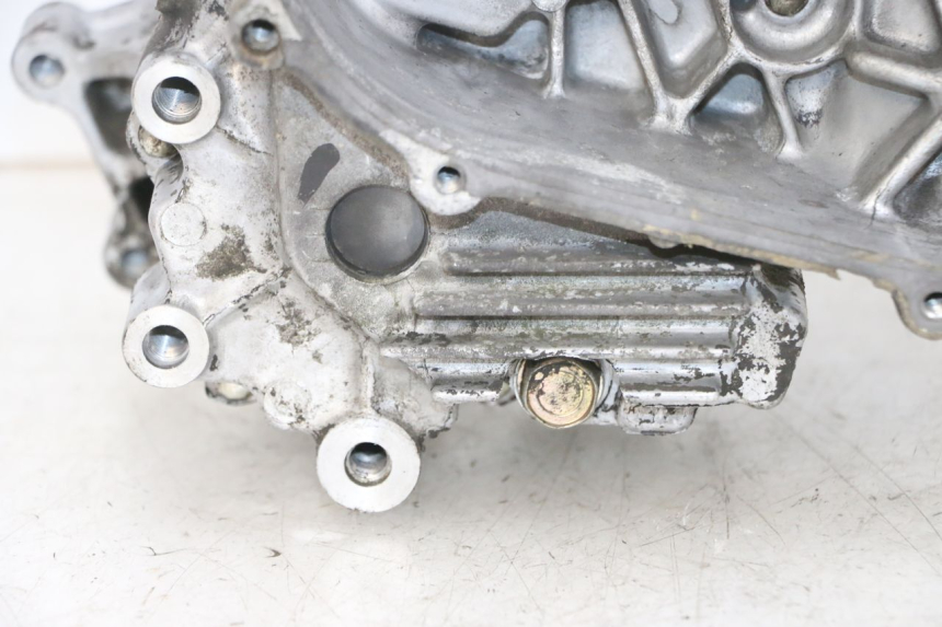 photo de MOTORBLOCKGEHäUSE DAELIM S1 125 (2007 - 2016) - Charakteristische Merkmale