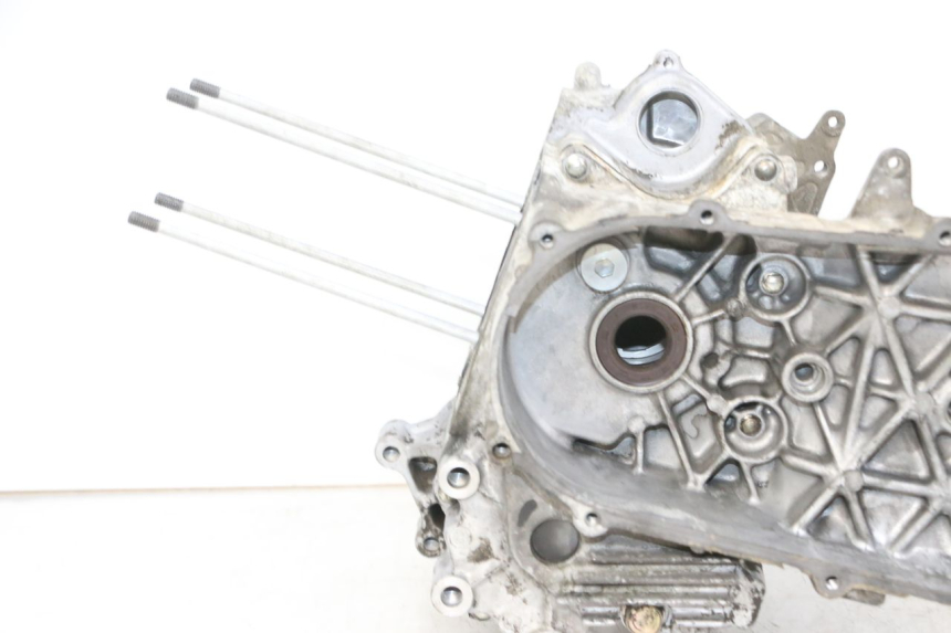 photo de MOTORBLOCKGEHäUSE DAELIM S1 125 (2007 - 2016) - Zoom auf Komponenten