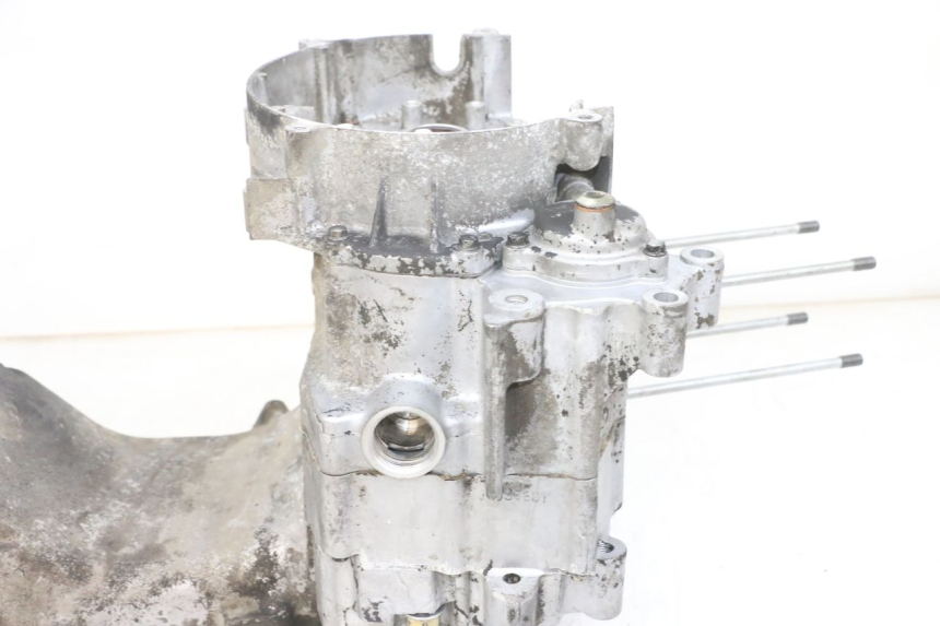 photo de MOTORBLOCKGEHäUSE DAELIM S1 125 (2007 - 2016) - Alternative Perspektive