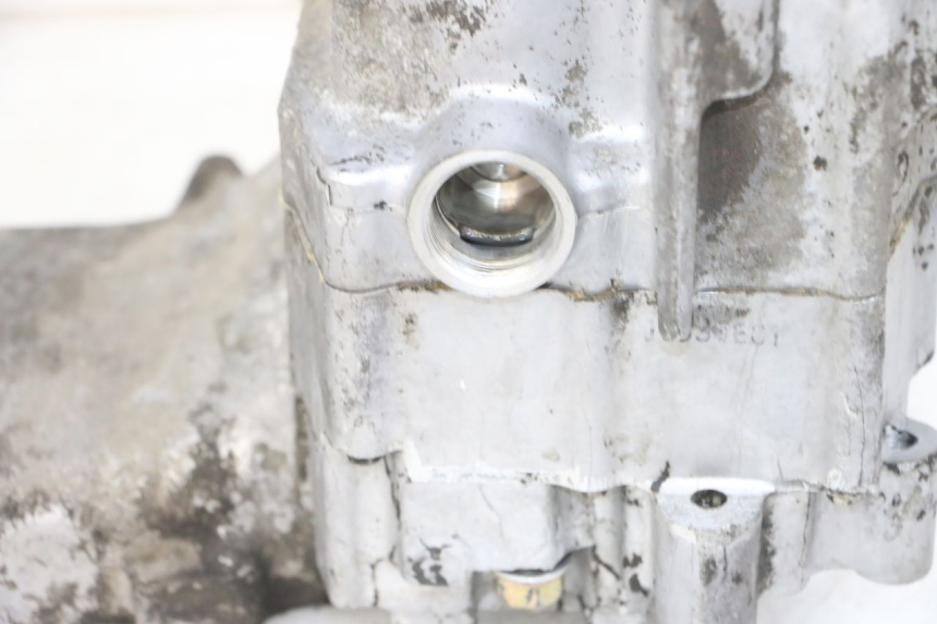 photo de MOTORBLOCKGEHäUSE DAELIM S1 125 (2007 - 2016) - Technische Nahaufnahme