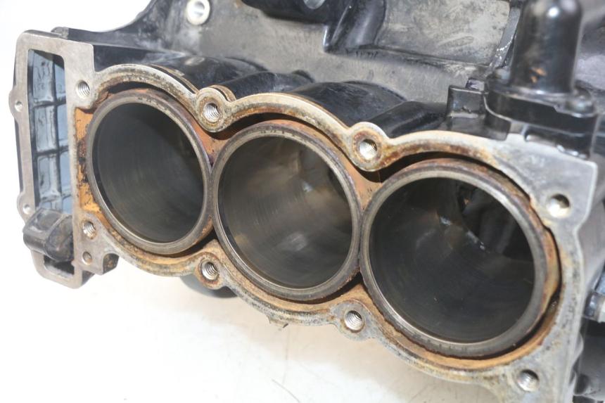 photo de MOTORBLOCK-UNTERTEIL TRIUMPH SPRINT ST 955 (1999 - 2001)