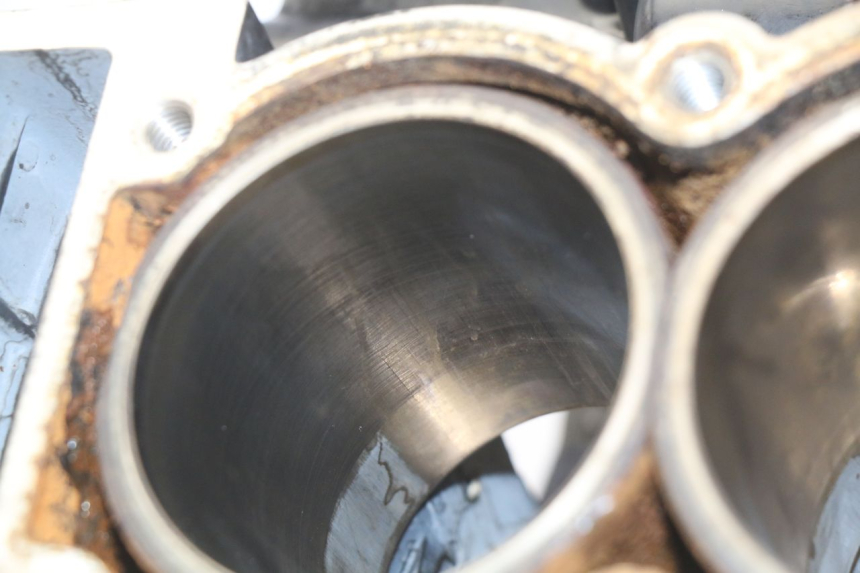 photo de MOTORBLOCK-UNTERTEIL TRIUMPH SPRINT ST 955 (1999 - 2001)