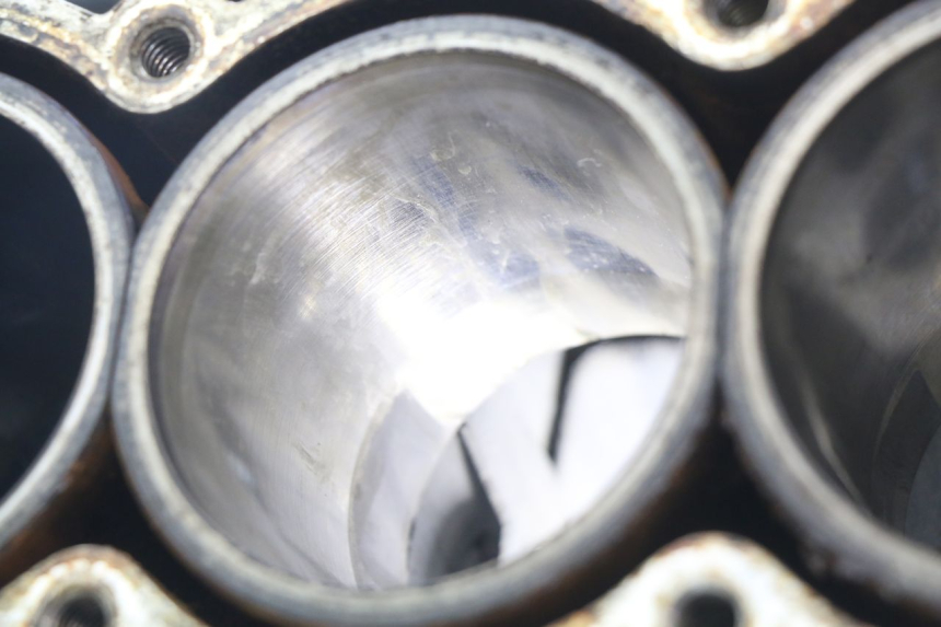 photo de MOTORBLOCK-UNTERTEIL TRIUMPH SPRINT ST 955 (1999 - 2001)