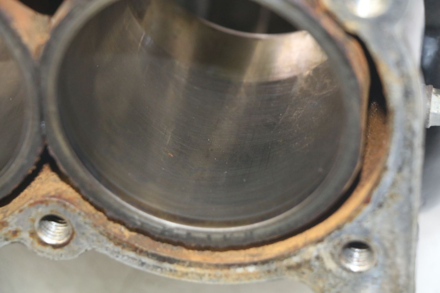 photo de MOTORBLOCK-UNTERTEIL TRIUMPH SPRINT ST 955 (1999 - 2001)