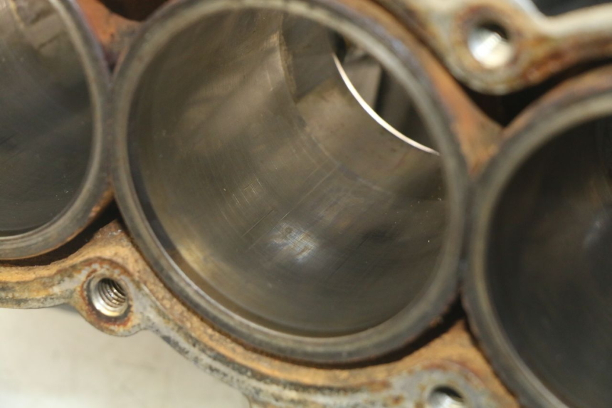 photo de MOTORBLOCK-UNTERTEIL TRIUMPH SPRINT ST 955 (1999 - 2001)