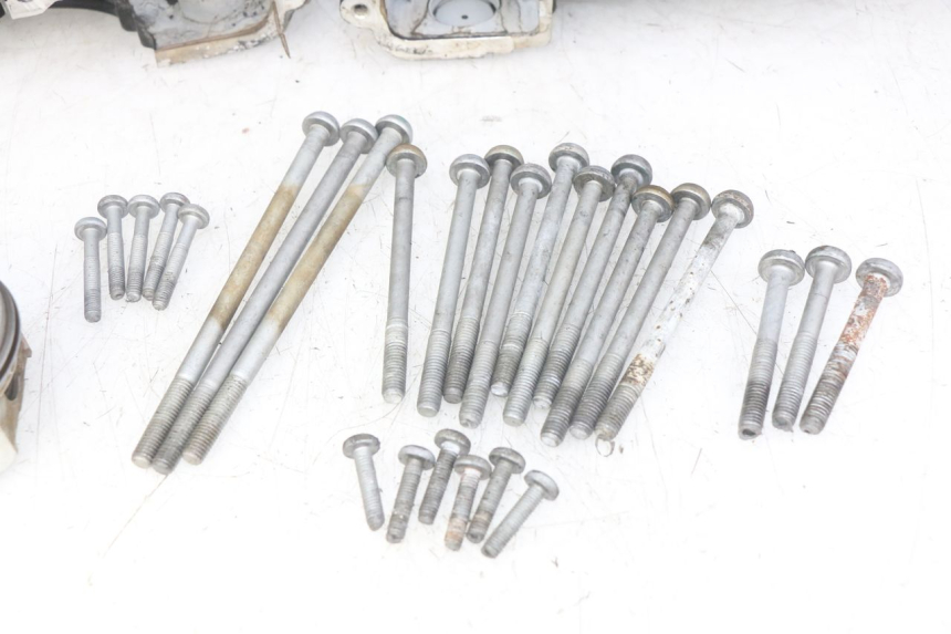 photo de MOTORBLOCK-UNTERTEIL TRIUMPH SPRINT ST 955 (1999 - 2001)