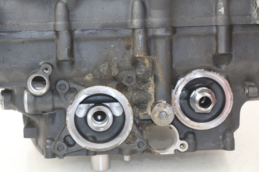 photo de KURBELGEHÄUSE YAMAHA FZ8 800 (2010 - 2016)