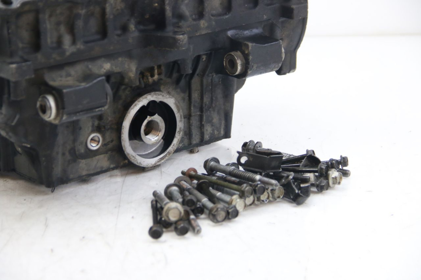 photo de MOTORBLOCK-UNTERTEIL YAMAHA FZS FAZER 600 (2001 - 2003)