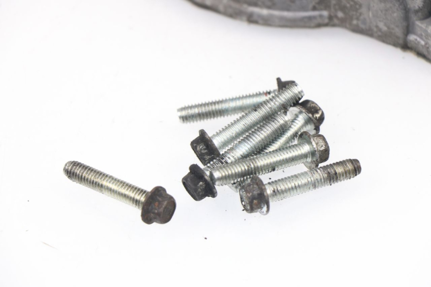 photo de ÖLWANNE PIAGGIO CARNABY 125 (2007 - 2011)