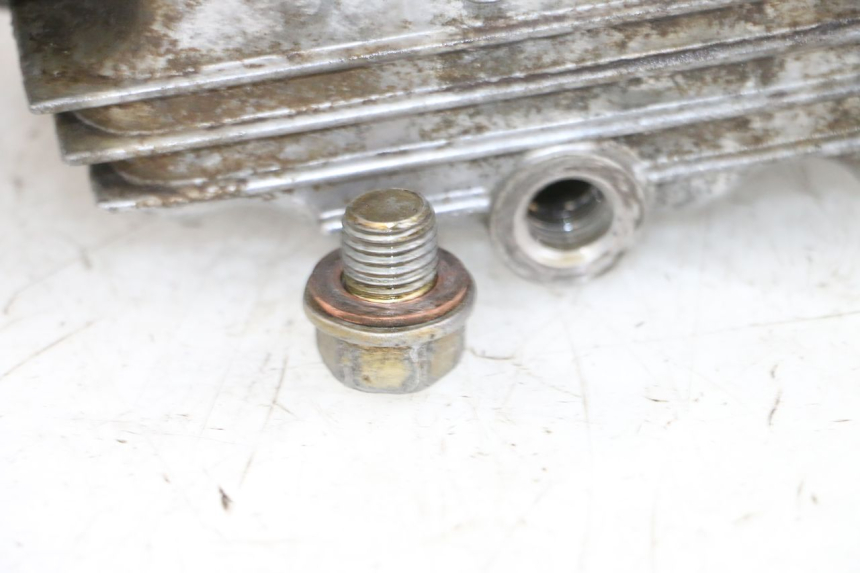 photo de KURBELGEHÄUSE LINKS YAMAHA TTR 125 (2000 - 2020) - Hochauflösende Nahaufnahme