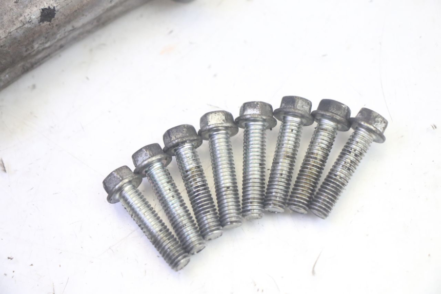 photo de ANLASSERFREILAUF DECKEL SUZUKI BURGMAN EXECUTIVE ABS 650 (2006 - 2012) - Technische Nahaufnahme