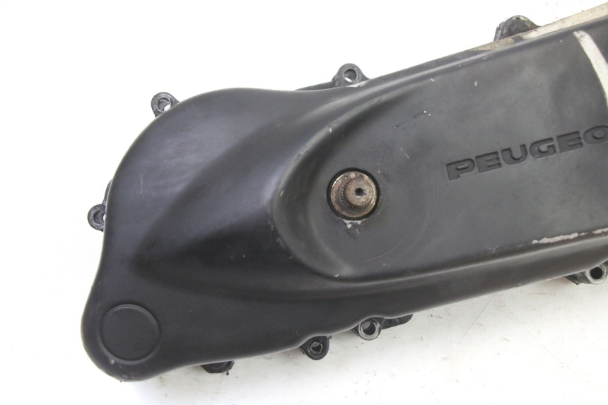 photo de VARIOMATIKGEHäUSE PEUGEOT ELYSTAR 50 (2002 - 2014)