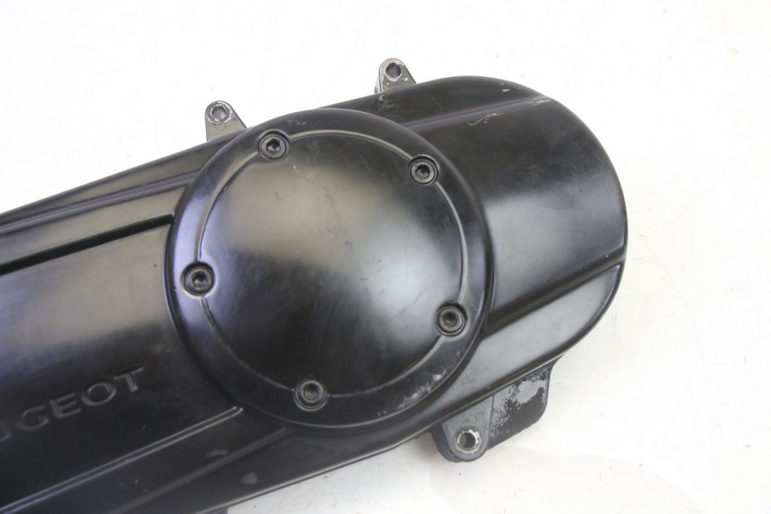 photo de VARIOMATIKGEHäUSE PEUGEOT KISBEE 2T 50 (2010 - 2017)