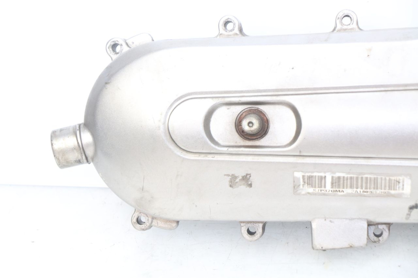 photo de VARIODECKEL PEUGEOT TWEET 4T 50 (2018 - 2020)