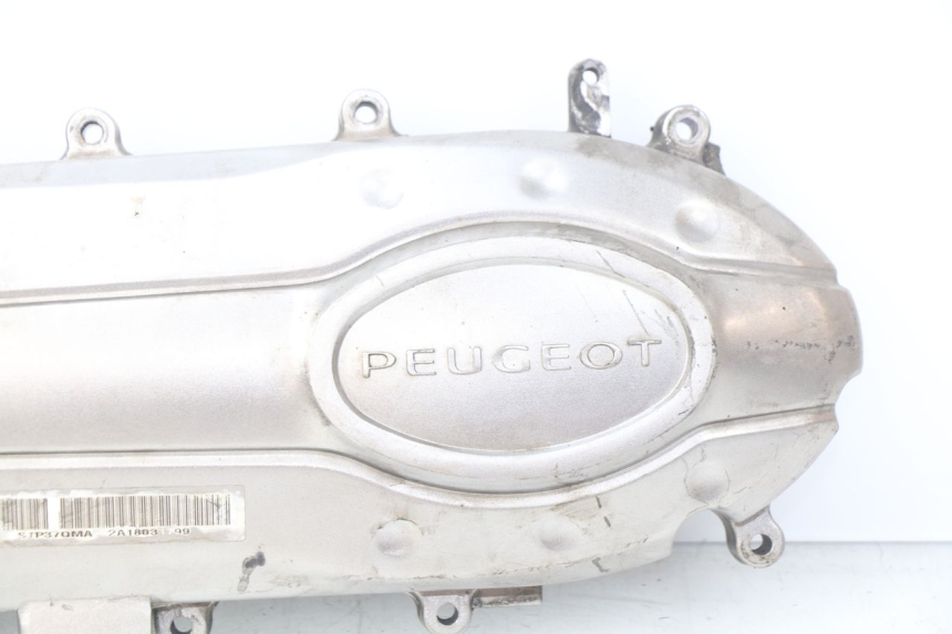 photo de VARIODECKEL PEUGEOT TWEET 4T 50 (2018 - 2020)