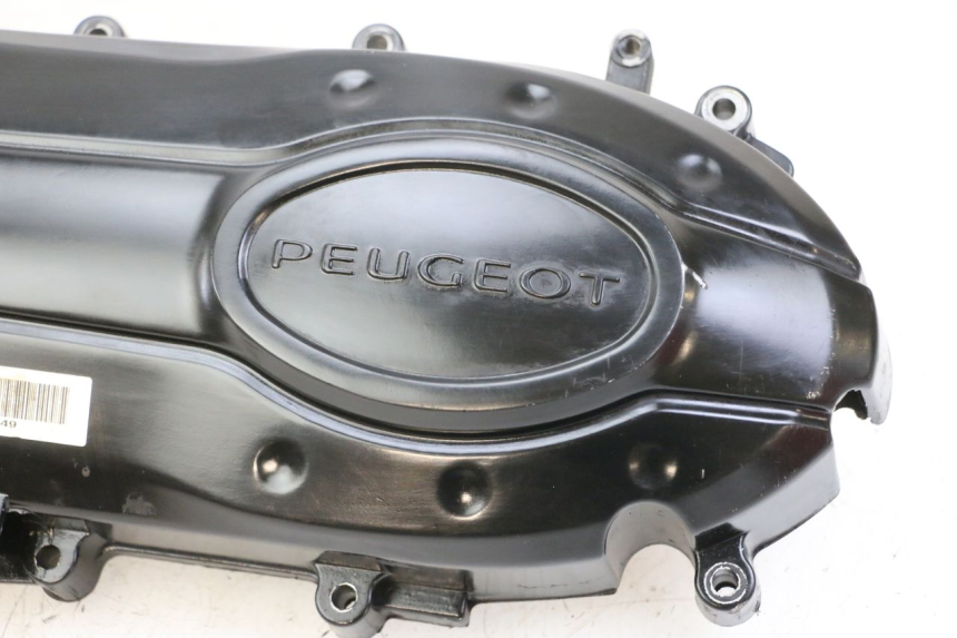 photo de VARIODECKEL PEUGEOT TWEET 4T 50 (2018 - 2020)
