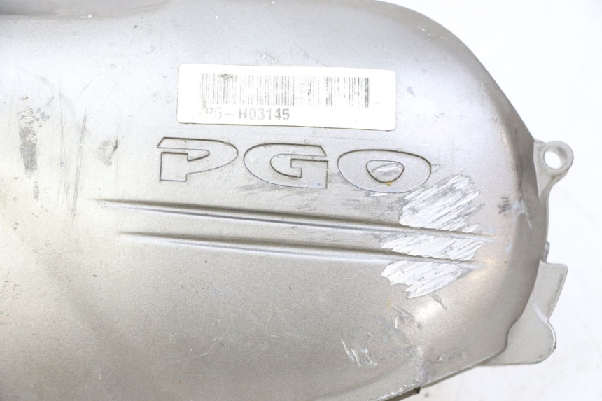 photo de VARIOMATIKGEHäUSE PGO RODOSHOW 2T 50 (2003 - 2007)