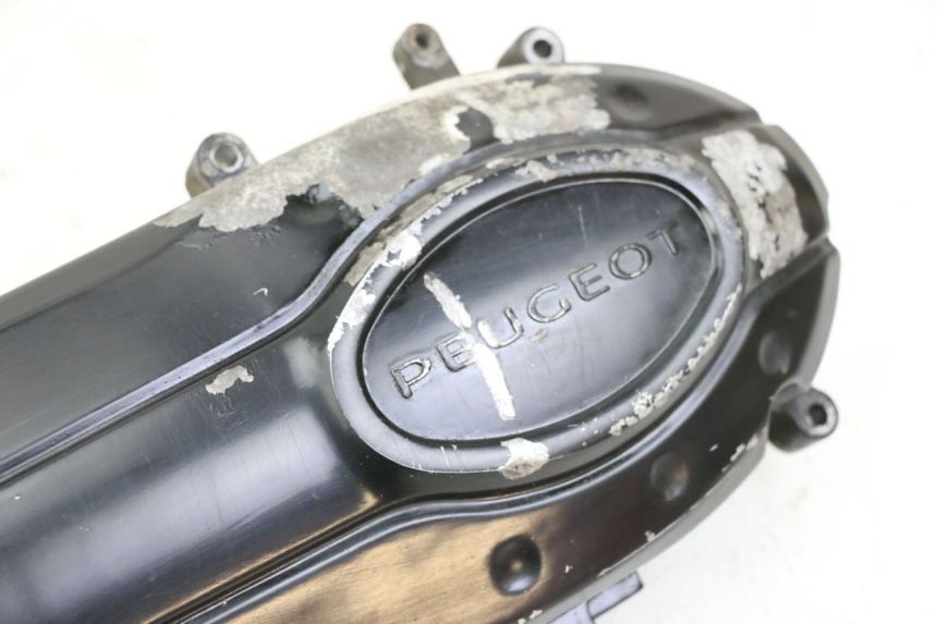 photo de VARIODECKEL PEUGEOT TWEET PRO CARGO 50 (2018 - 2020)