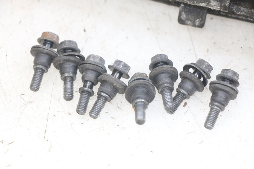 photo de VARIOMATIKGEHäUSE YAMAHA X-MAX XMAX 125 (2010 - 2014)