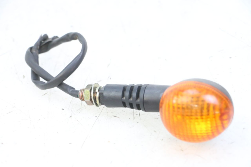 photo de HINTEN RECHTS BLINKER DAELIM BESBI 125 (2007 - 2008)