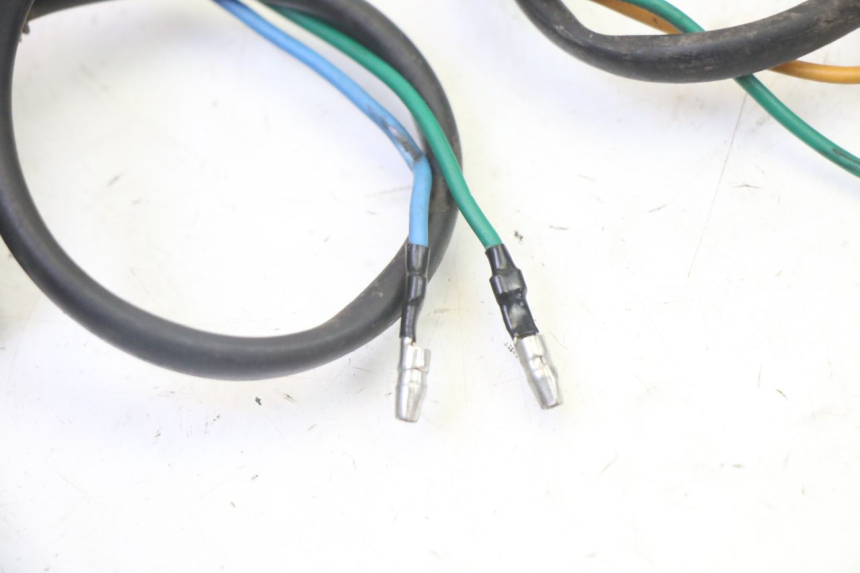 photo de HINTEN BLINKER STAHO FH 50 (2018 - 2019)