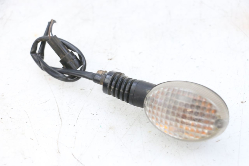 photo de HINTEN LINKS BLINKER YAMAHA YFM R RAPTOR 250 (2008 - 2014) - Hauptansicht