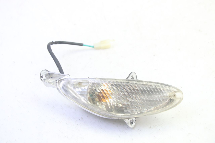 photo de RECHTER BLINKER LONGJIA DIGITA 4T 50 (2019 - 2022) - Hauptansicht