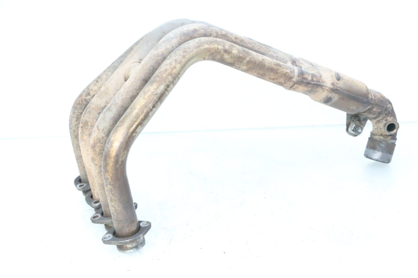 photo de SAMMLER YAMAHA FZ6 FAZER S2 600 (2007 - 2011)