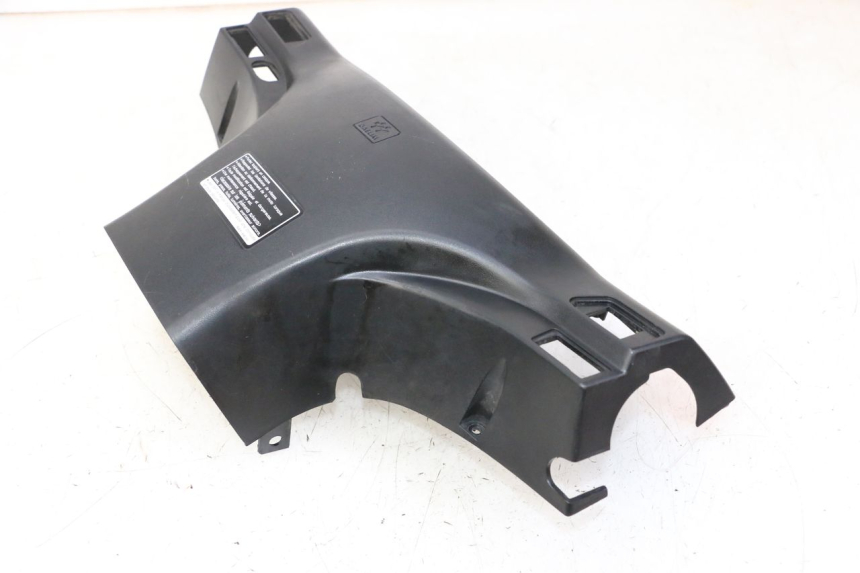 photo de LENKERVERKLEIDUNG HINTEN DAELIM HISTORY 125 (2001 - 2002)