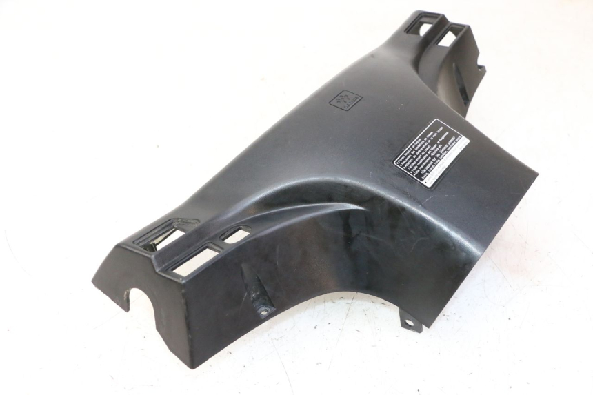 photo de LENKERVERKLEIDUNG HINTEN DAELIM HISTORY 125 (2001 - 2002)