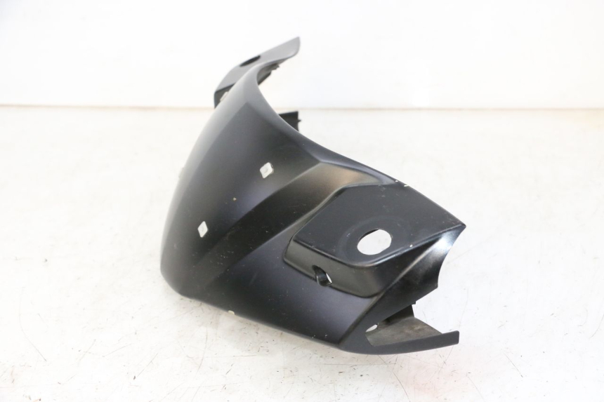 photo de LENKERVERKLEIDUNG VORNE GILERA RUNNER SP 50 (2009 - 2017)