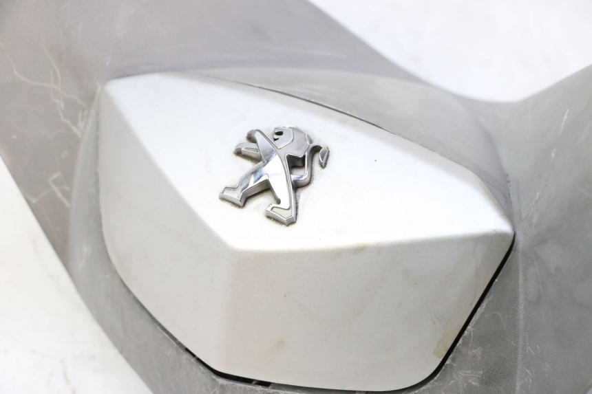 photo de LENKERVERKLEIDUNG VORNE PEUGEOT SATELIS 125 (2010 - 2012)