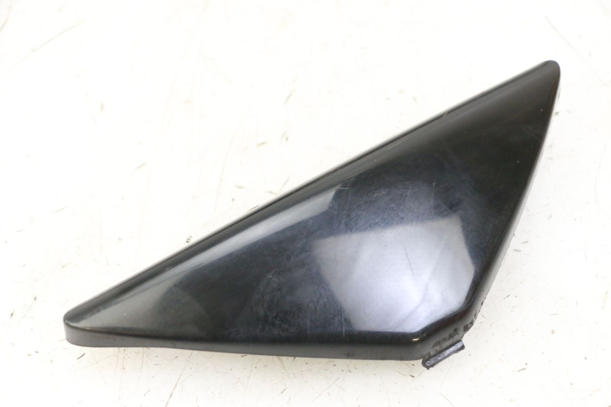 photo de LENKERVERKLEIDUNG GILERA NEXUS 300 (2008 - 2013)
