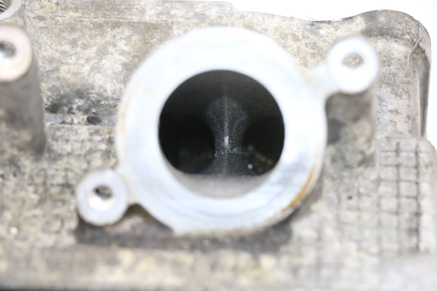 photo de ZYLINDERKOPF SUZUKI BURGMAN 650 (2013 - 2020)