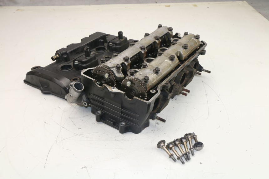 photo de ZYLINDERKOPF HONDA CBF N 600 (2004 - 2007)